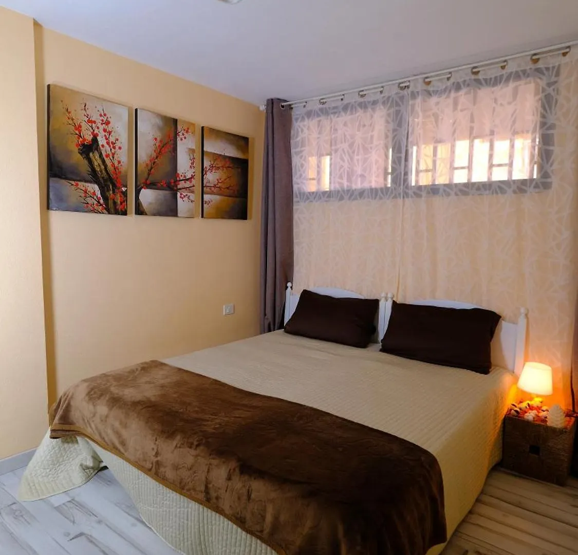 Sofia Ocean View Free Wi-Fi Check-In 24 Hours Puerto de Santiago  0*, Puerto de Santiago (Tenerife)
