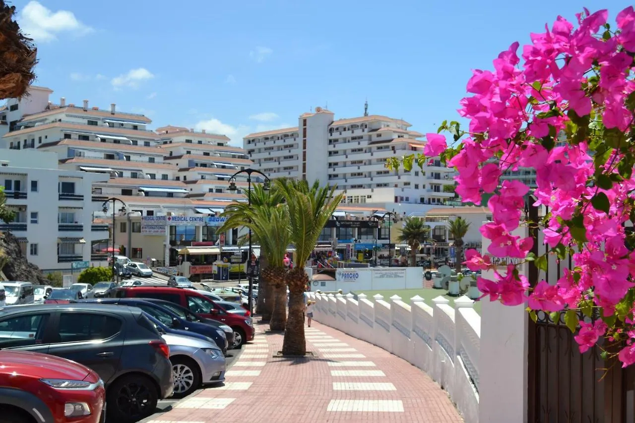 Sofia Ocean View Free Wi-Fi Check-In 24 Hours Puerto de Santiago  Spain
